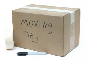 same day movers