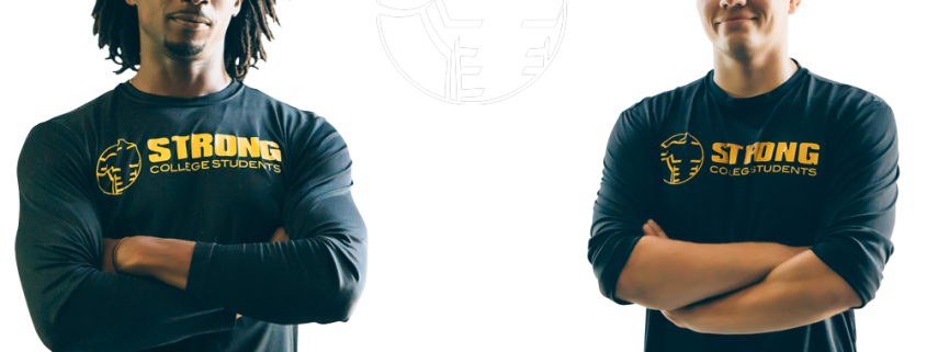 same day movers tampa