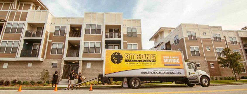 movers tampa