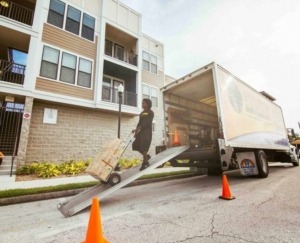 moving companies tampa