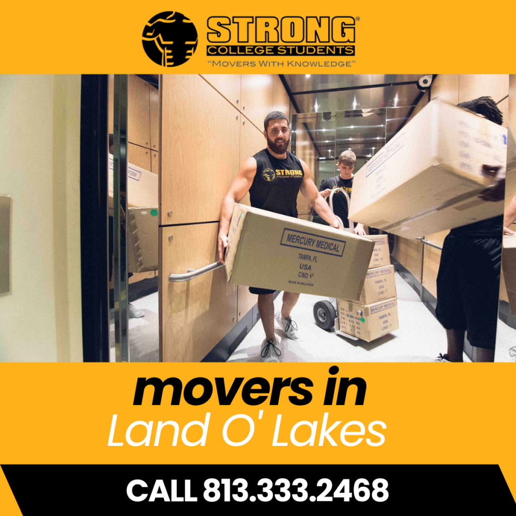 land o' lakes movers
