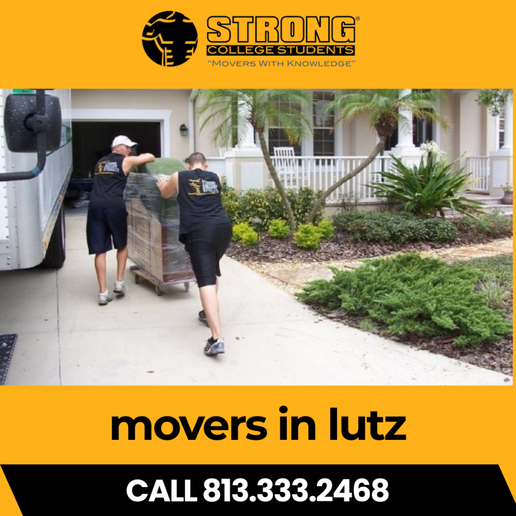lutz movers