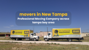 movers in new tampa