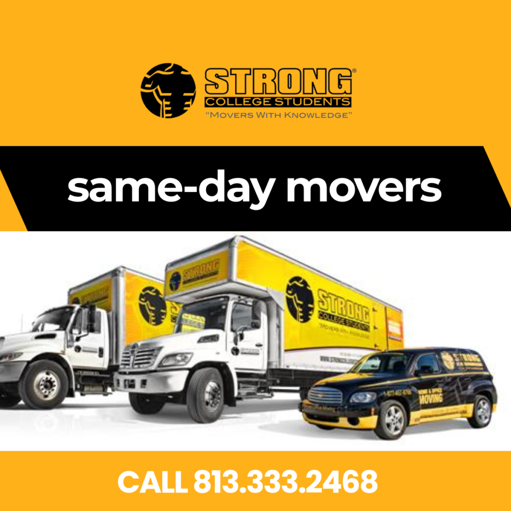 same day movers - Movers arrives within an hour