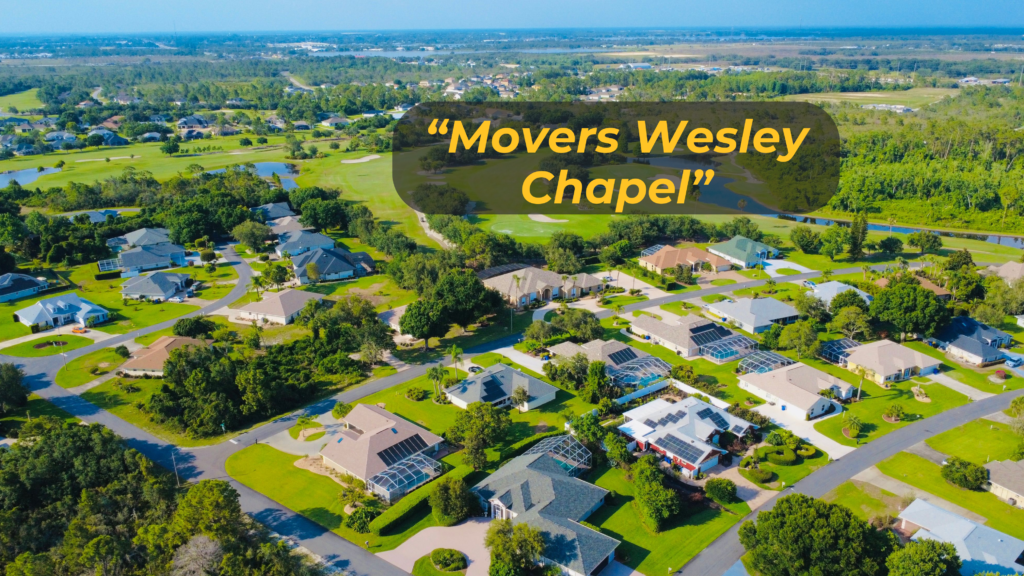 movers wesley chapel