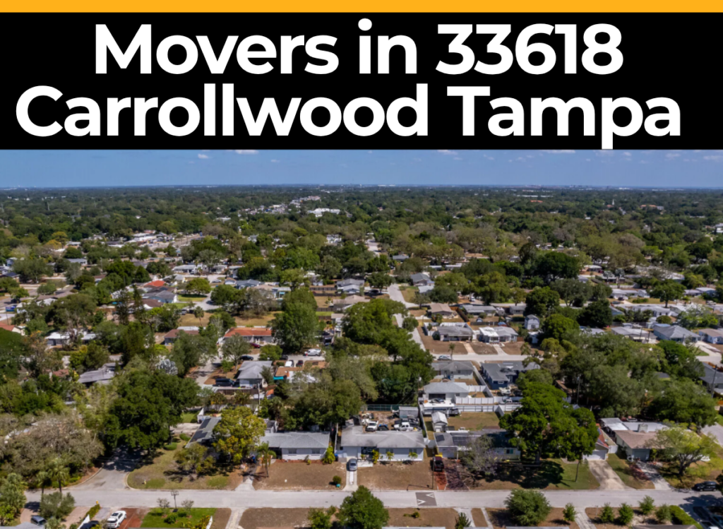 Carrollwood movers