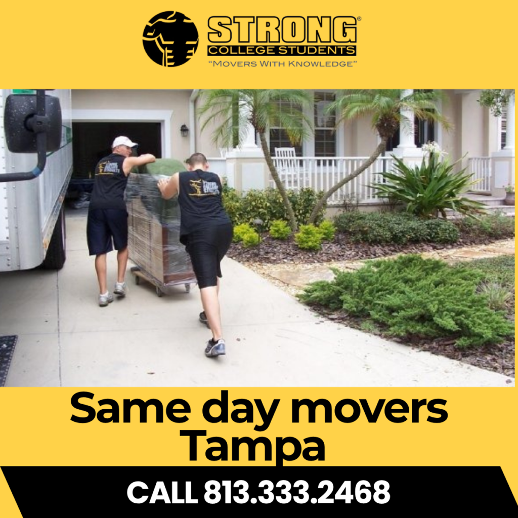 Same day movers Tampa loading truck — Strong College Students